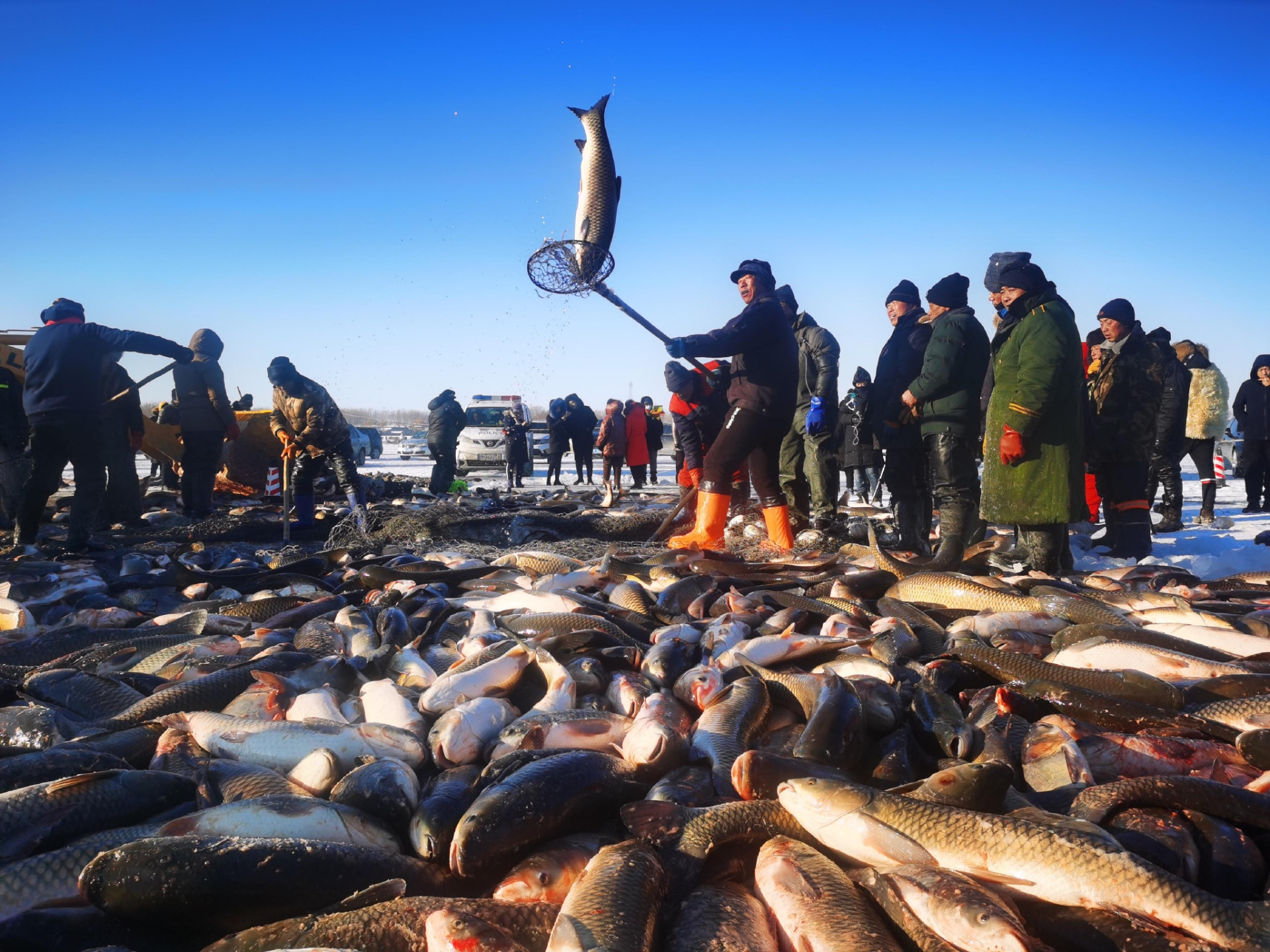 北京潤達T-100S高速塑封機助力查干湖冬捕冷鏈包裝工廠實錄！